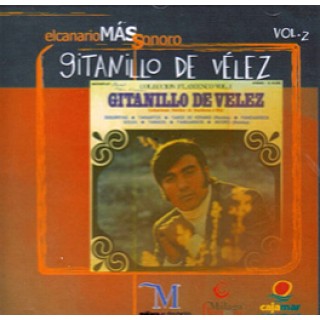 16569 Gitanillo de Vélez - El canario mas sonoro 2