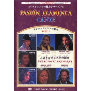 20573 Pasión flamenca - Cante Vol 1
