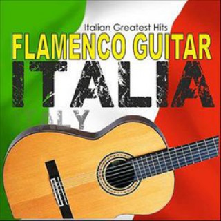 20884 Michele Iaccarino - Flamenco Guitar Italy