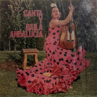 31247 Canta y baila Andalucía