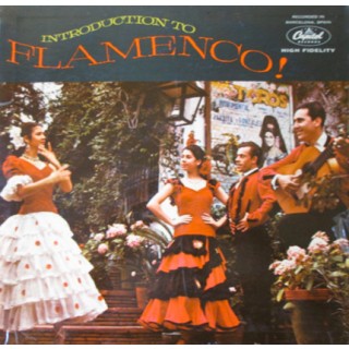 31277 Introduction to flamenco