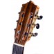 Guitarra flamenca Martinez Modelo MTZ MFG-AS EF EQ Fishman PSY-301 clavijero