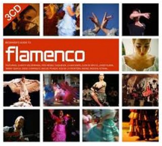 19503 Flamenco - Beginner´s guide to