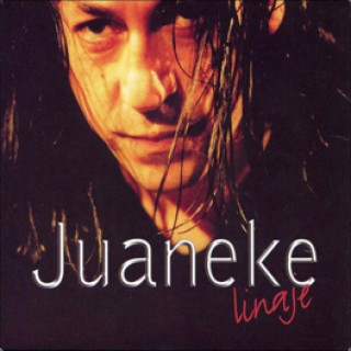 13703 Juaneke - Linaje