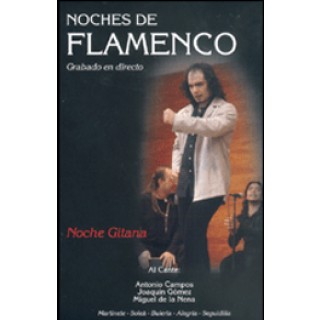 15451 Pedro Córdoba - Noche gitana. Noches de flamenco Vol 8