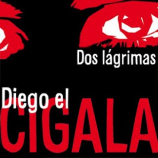 17625 Diego el Cigala - Dos lágrimas