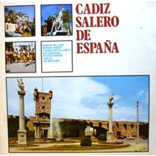 23033 Cádiz salero de España