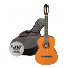 27407 Guitarra Aston 1/2