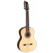 25185 Guitarra Martinez Modelo MTZ Palosanto de 7 Cuerdas