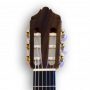 Clavijero frente guitarra flamenca electroacústica cutaway sicomoro 131 Azahar