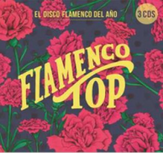 23653 Flamenco Top
