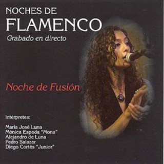 15443 Noches de Flamenco Vol 10. Noche de fusión