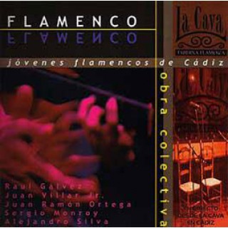 19647 Jóvenes flamencos de Cádiz - La Cava taberna flamenca