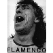 12762 Alberto Schommer - Flamenco