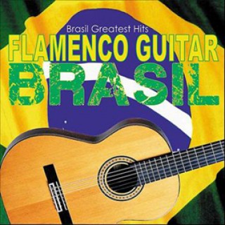 20882 Michele Iaccarino - Flamenco Guitar Brasil