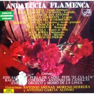 23042 Andalucía flamenca