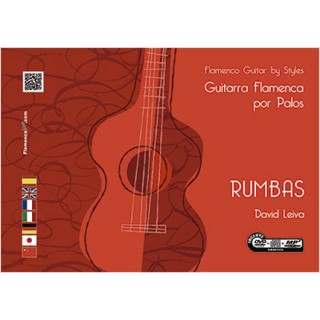 24489 David Leiva - Guitarra flamenca por palos 
