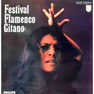 28400 Festival Flamenco Gitano