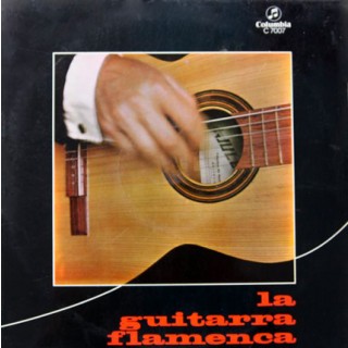 31303 La guitarra flamenca