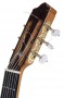 Guitarra Flamenca artesanal Javier Castaño modelo 243 clavijero